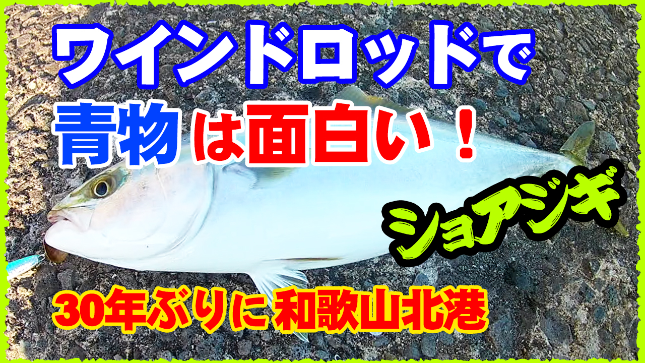 ハマチ釣行動画