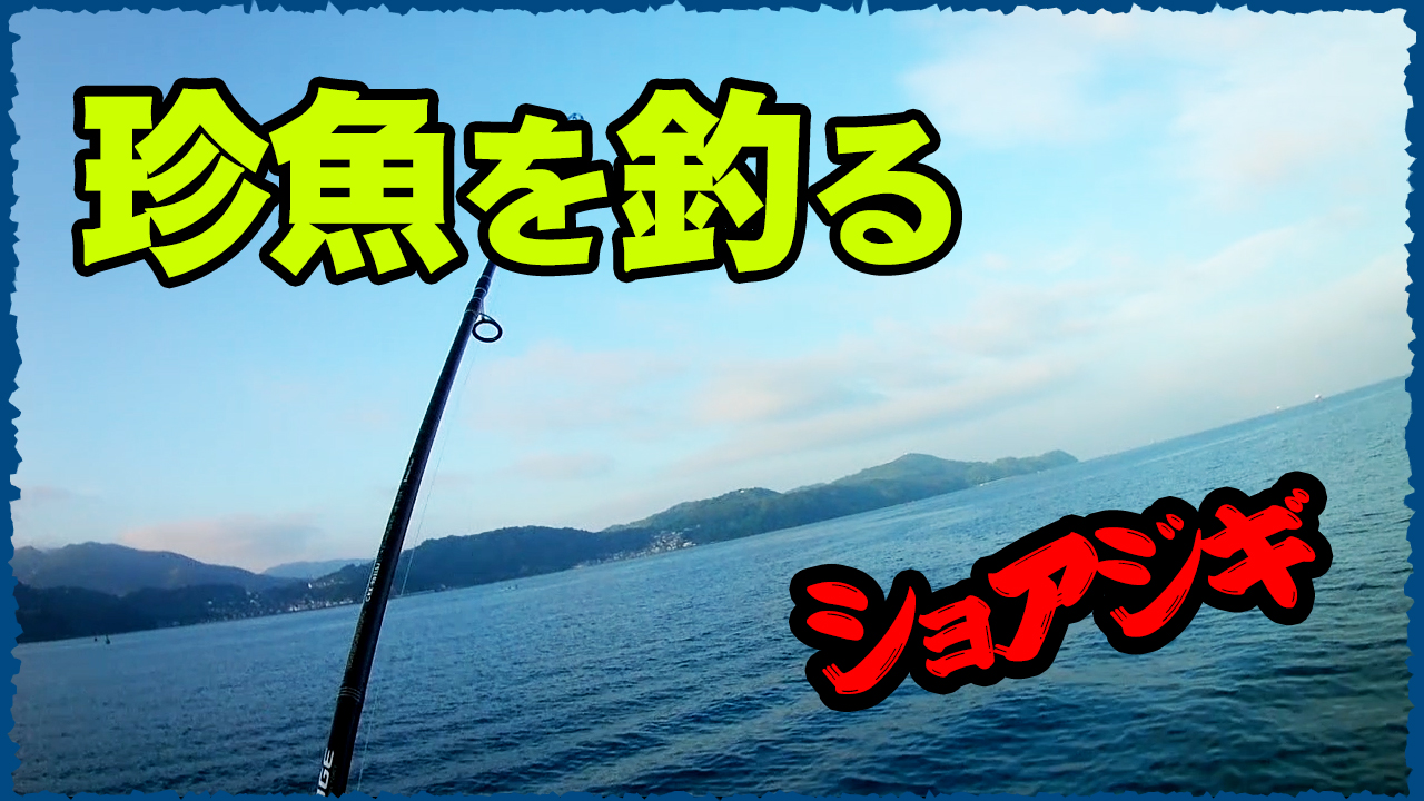 アイブリ釣り動画