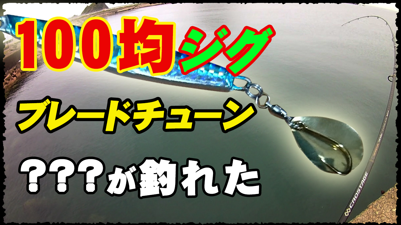 ハマチ釣行動画