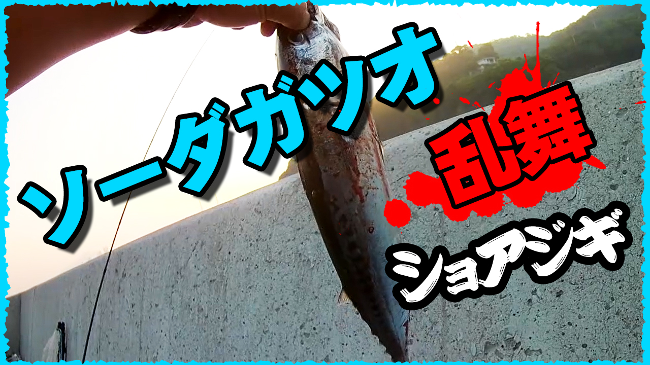 カツオ釣り動画