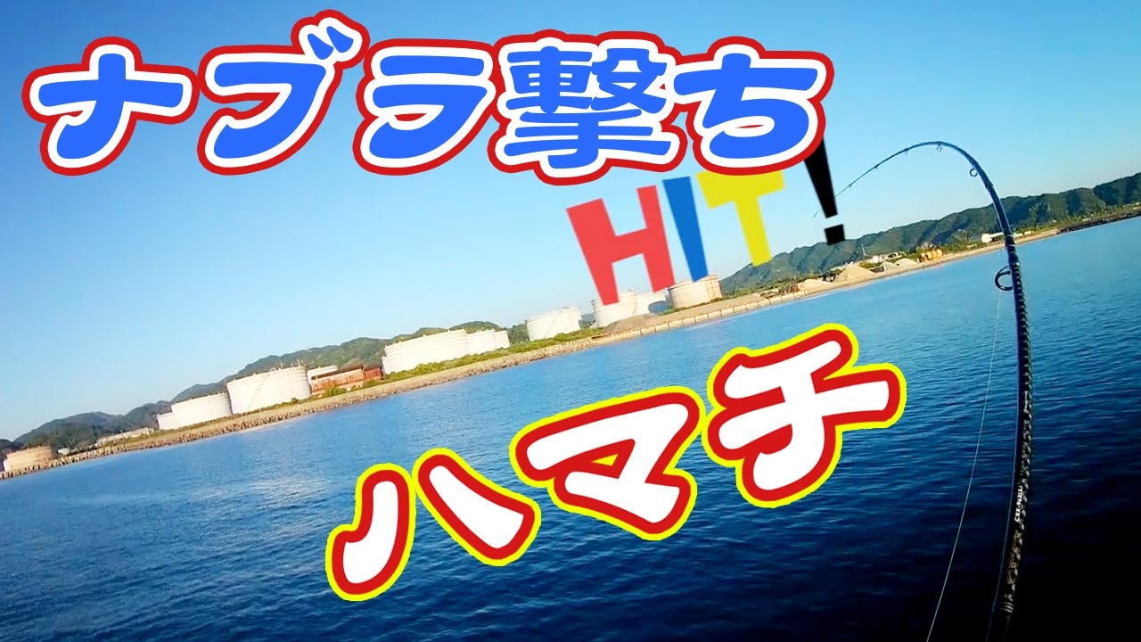 ナブラ打ちハマチ動画