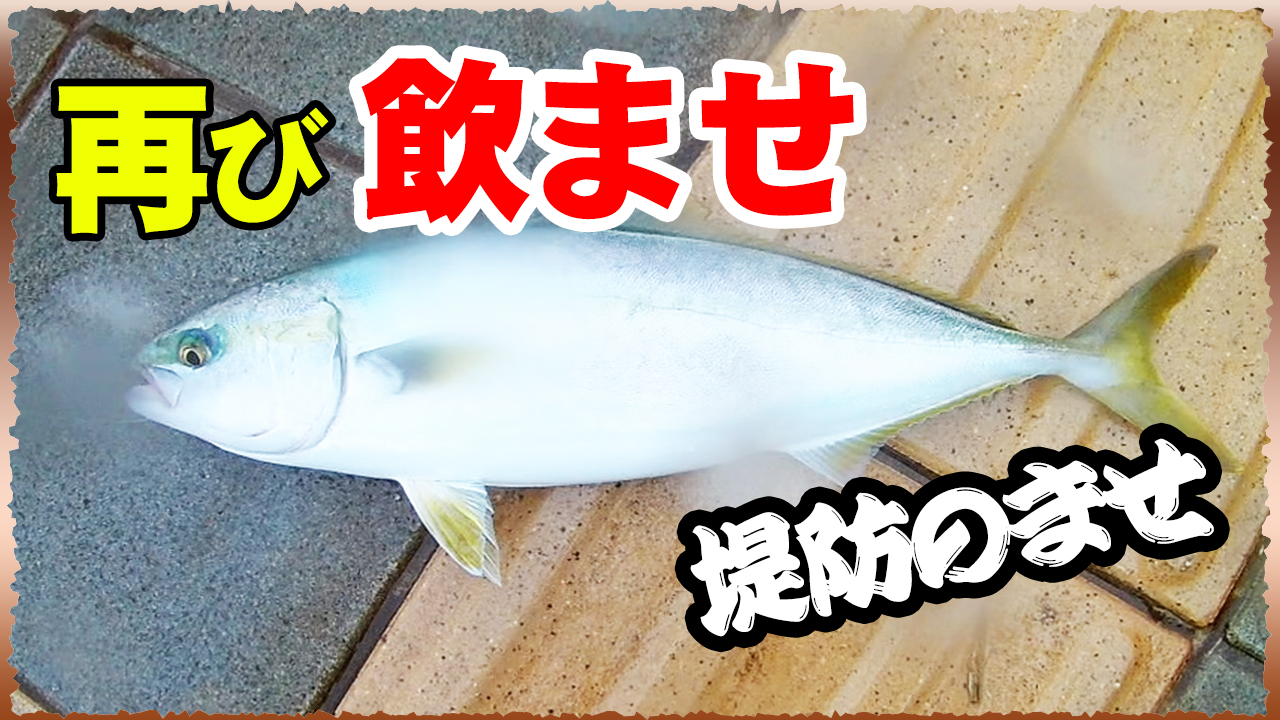 青物のませ動画