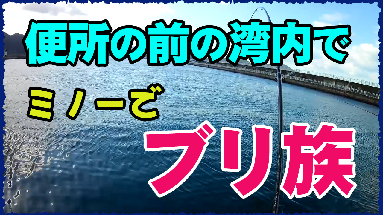 メジロブリ釣行動画
