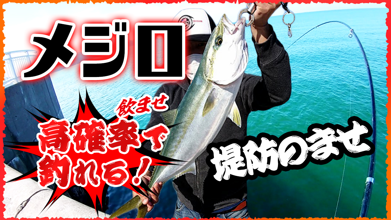 飲ませ釣りメジロ動画を見る