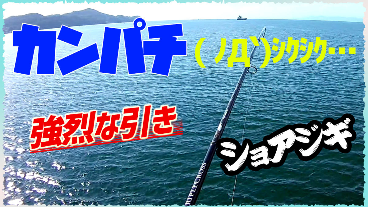 カンパチ逃がす