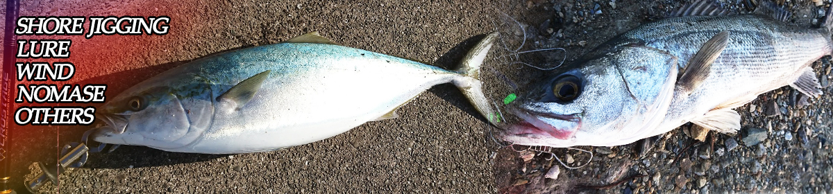 和歌山　釣り情報サイト