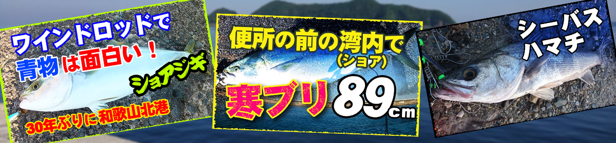 和歌山　釣り情報サイト