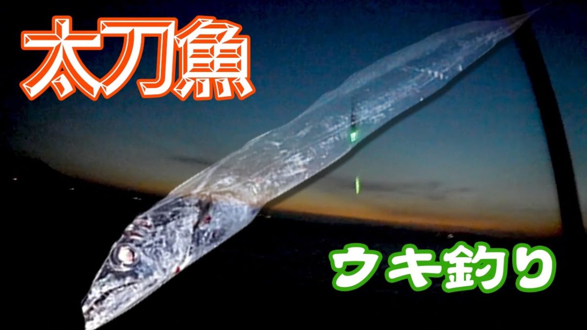 タチウオウキ釣り動画
