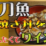 ワインドタチウオ釣り動画